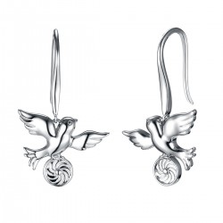 Energie-Schutz-Ohrringe in 925 Silber