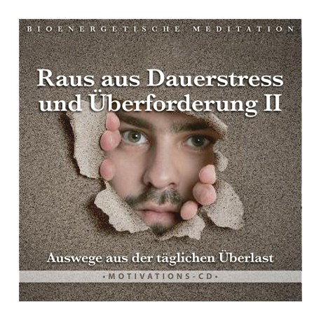 Raus aus Dauerstress und Überforderung II
