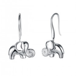 Energie-Schutz-Ohrringe in 925 Silber